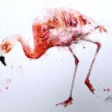 ' Legs eleven ' 1/100 Flamingo