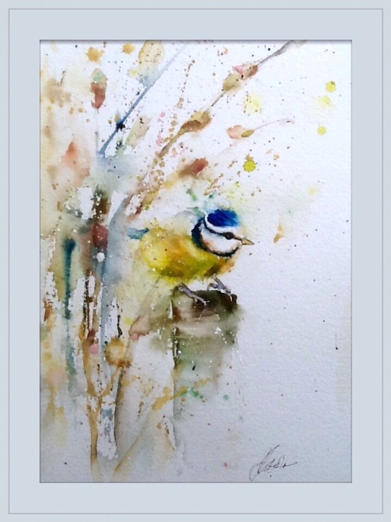 Blue tit bird