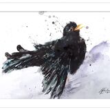 ' Sunning ' new work for late summer 20 Blackbird