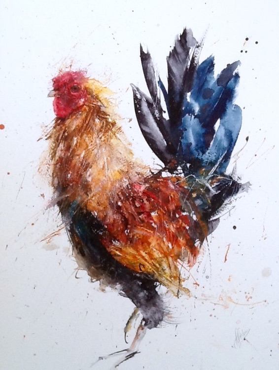 Cheeky cockerel