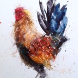 Cheeky cockerel