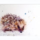 A hedgie hedgehog Hedgehog painting