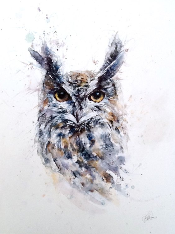 wise owl
