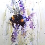Bee on lavender