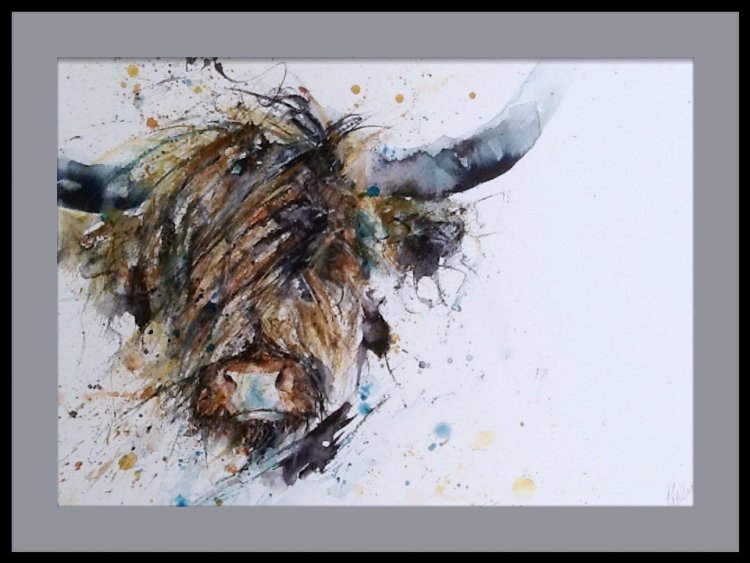 Highland cow