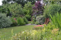 The garden I'm about to leave for pastures new!