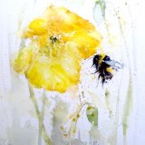 Bee with Welsh poppy 18/100 Bee poppy painting
