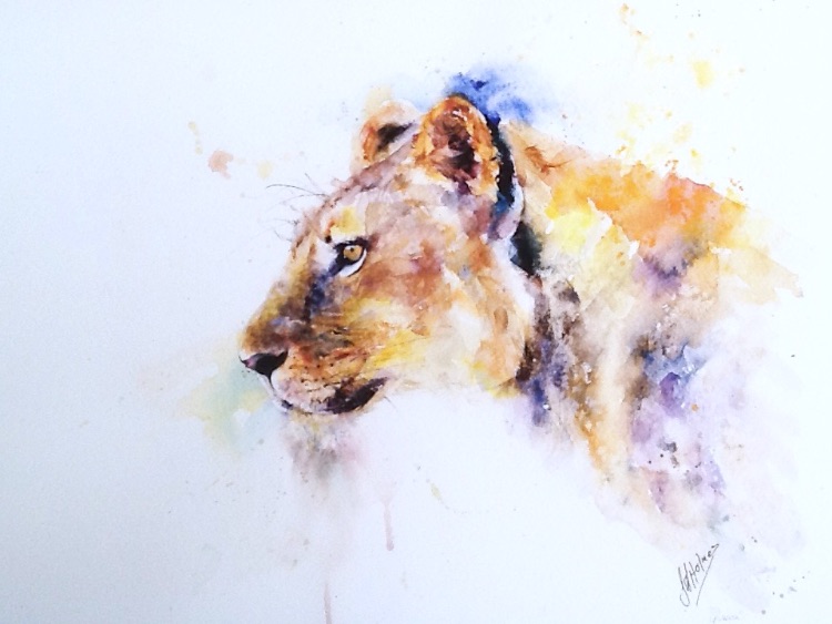 Lioness