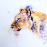 " Queen " Lioness