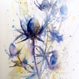 Seaholly