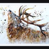 " A good scratch " SOLD Painting deer stag antlers