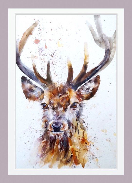 Stag painting