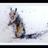 Little grey