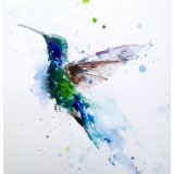 Little blue hummingbird Hummingbird watercolour painting