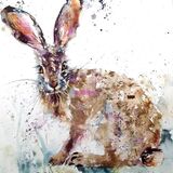 SOLD Hare