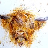 " Highlander "