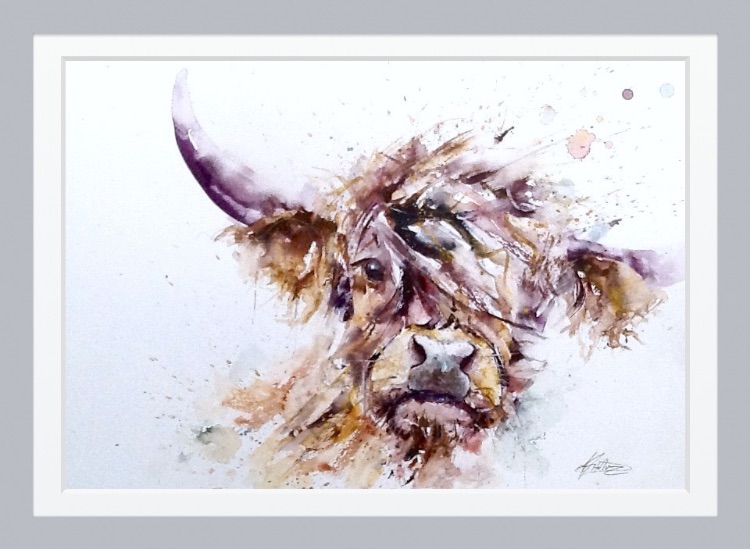" Curious coo "