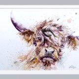 " Curious coo "