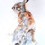 " Sitting pretty " Hare