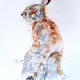 " Sitting pretty " Hare
