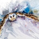Barn owl in flight SOLD
