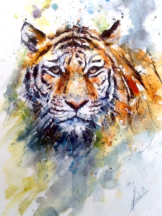 Tiger