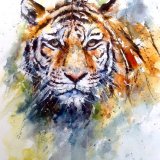 Tiger painting