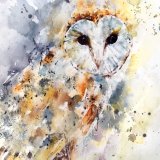 Owl painting