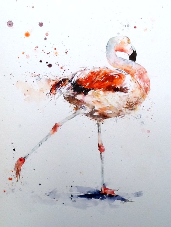 " Aaaaand stretch " Chilean flamingo £225