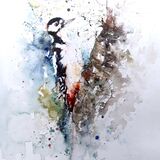 " Knock knock " SOLD Woodpecker