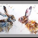 Hare pair Hare