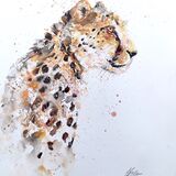 " Stay focused " Cheetah