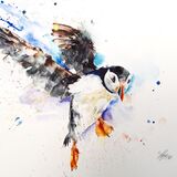 " Make a splash " SOLD Puffin