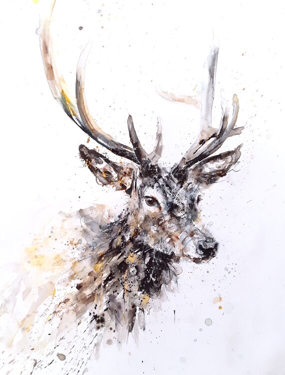 " Handsome coo " £170