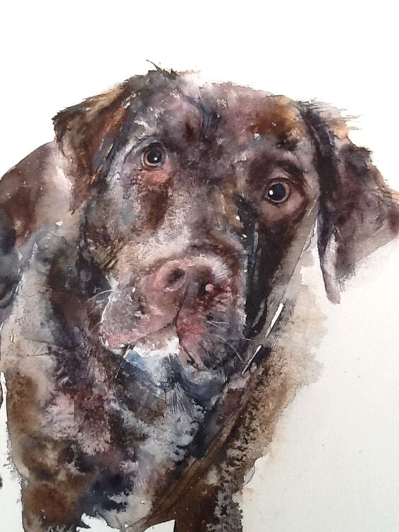 Dog painting