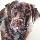 The eyes have it Dog painting