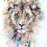 Don't dare stare SOLD Lion cat