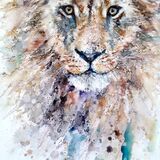 Don't dare stare SOLD Lion cat
