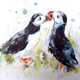 Puffin kiss Puffin