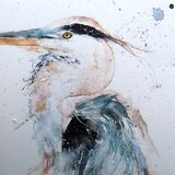 Heron