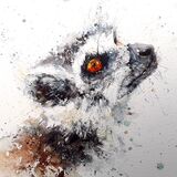Lemur