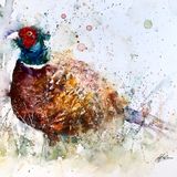Bright lights £145 Pheasant painting