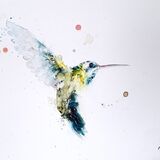 Delicate 9/50 Hummingbird