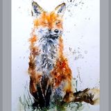 " A moment in the sunshine " 17/250 Fox painting