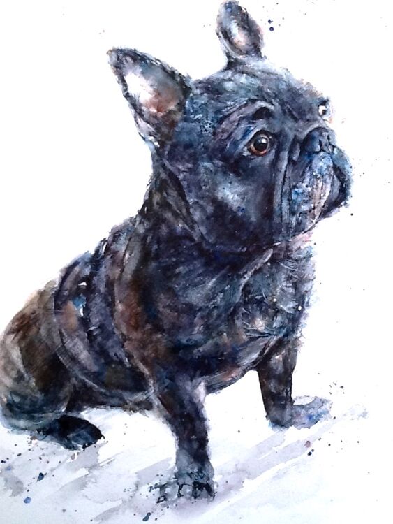 " Frank "