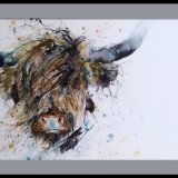 " Cool rainy coo " Highland cow