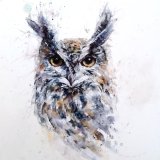 wise owl