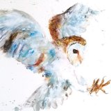 " Luna "