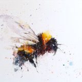The buzz of life ....