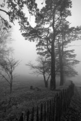 Mistley Village, in the Mist